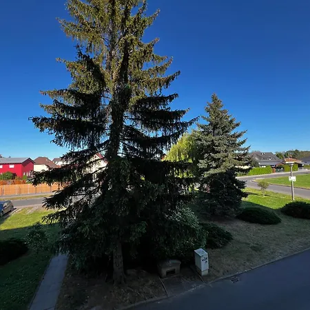 Cozyhome Zwenkauer *